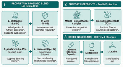 Bioalign 40B™ Probiotic 40 Billion Capsules